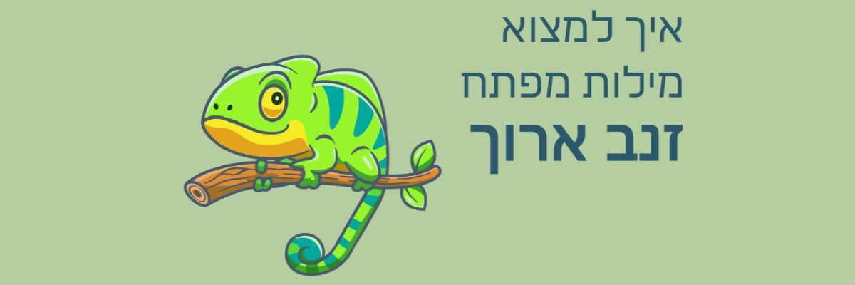 איך למצוא מילות מפתח זנב ארוך