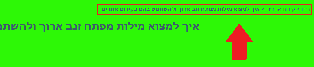 פירורילחם